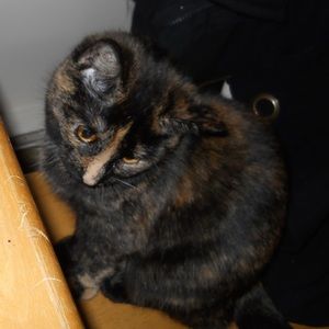 Meet your Posher, Aj